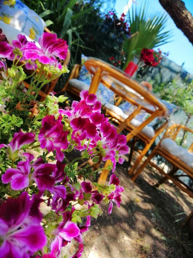 Lumie Di Sicilia Bed & Breakfast ปอร์โต เอมเปโดเกล ภายนอก รูปภาพ